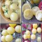 100 seeds Heirloom White Cherry Tomato Organic Fresh Fruit Vegetables