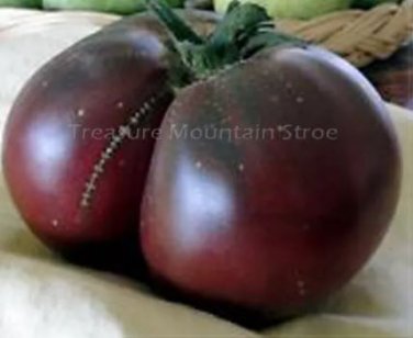 100 seeds Black Elephant Tomato organic big sweet tomato