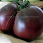 100 seeds Black Elephant Tomato organic big sweet tomato