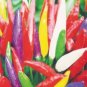 20 seeds Heirloom Allochroic Pod Pepper Seeds Original Pack