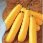 10 seeds Heirloom New Cassabanana Sicana Odorifera Seeds