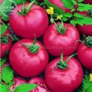 100 seeds Pink King Tomato Seeds
