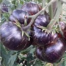 100 seeds Black Striped Tomato Organic Seeds