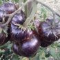 100 seeds Black Striped Tomato Organic Seeds
