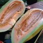 20 seeds Rare Chinese Sweet Melon Seeds