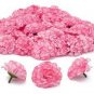 20 seeds Champagne Hydrangea Seeds - Fresh Pink Flowers