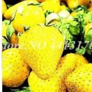 300 seeds Giant Strawberry Seeds - Yellow Color