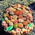 100 seeds Beauty Mixed Mini Lithops Bonsai Plants Cactus Bonsai