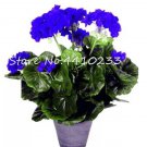 30 seeds Bonsai Geranium,Perennial Bonsai Flower Plantas Pelargonium Peltatum