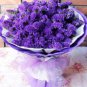 30 seeds Blue Sea Lavender Limonium Sinuatum