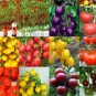 100 seeds Mixed 24 Types Organic Tomato
