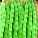 10 seeds Kidney Bean Seeds Green Bean Vegetables