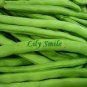 10 seeds Kidney Bean Seeds Green Bean Vegetables