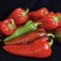 100 seeds Giant Pepper Hybrid OX Horn Vegetable Seeds