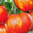 100 seeds Organic Heirloom West Virginia Hillbilly Tomato Seeds