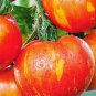 100 seeds Organic Heirloom West Virginia Hillbilly Tomato Seeds