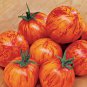 100 seeds Organic Heirloom West Virginia Hillbilly Tomato Seeds