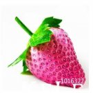 50 seeds Rare Purple Strawberry Seeds