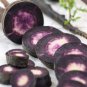 100 seeds Purple Dragon Carrot Seeds