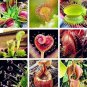 200 seeds Multifarious Nepenthes Carnivorous Plant Seed Mixed 9 Types