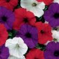 100 seeds Mini Calibrchoa Million Bells Petunia Seeds