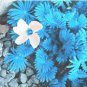 100 seeds ACID Blue Oxalis Seeds Wood Sorrel Flowers