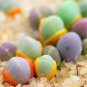 100 seeds Succulent Plants Bonsai Per Pack Gibbaeum Heathii Bonsai