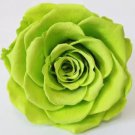 100 seeds Exotic Rainbow Rose Plants Mixed Colors Rosa Planta Outdoor Seed Potted