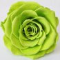 100 seeds Exotic Rainbow Rose Plants Mixed Colors Rosa Planta Outdoor Seed Potted