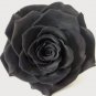 100 seeds Exotic Rainbow Rose Plants Mixed Colors Rosa Planta Outdoor Seed Potted