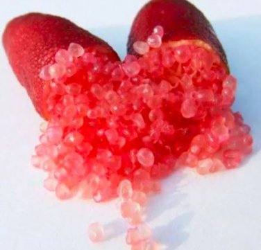 20 seeds Novel Finger Limes Citrus Pomegranate Bonsai Delicious Sweet Fruit Bonsai