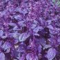 35 seeds Purple Basil Seeds Aromatic Plants Seeds Original Pack