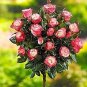 200 seeds Rare MUL-Color Rose Amazingly Beautiful Indoor Rainbow Roses