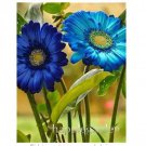 100 seeds Gerbera Daisy Bonsai New Hybrids, Mixed Flower Pot Bonsai