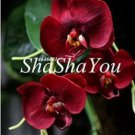 100 seeds Phalaenopsis Giant Orchid Flower Big Flowers Seeds for Rooms Indoor