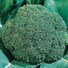 60 seeds Green Organic Broccoli Heirloom Vegetables Seeds