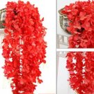 100 seeds Rare String of Pearls Big Succulent Senecio Rowleyanus Flower Seeds - Red