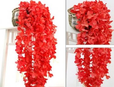 100 seeds Rare String of Pearls Big Succulent Senecio Rowleyanus Flower Seeds - Red