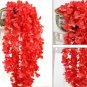 100 seeds Rare String of Pearls Big Succulent Senecio Rowleyanus Flower Seeds - Red