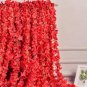 100 seeds Rare String of Pearls Big Succulent Senecio Rowleyanus Flower Seeds - Red