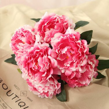 5 Seeds Peony 'Silky Flag' Bi-colored Flower