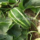 1 Seeds Color Muskmelon Fragrant Crisp Melon Organic Seeds