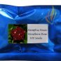 500 seeds , MEMPHIS MUSIC MINIFLORA ROSE