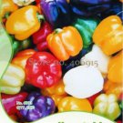 25 seeds Colorful Sweet Pepper High-quality Multicolored Pepper Seeds