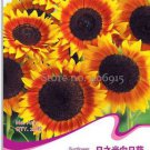 20 seeds Beautiful Sunflower Ornamental Flower Seeds