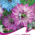 30 seeds Fennel Flower Seeds Nigella Damascene Persian Gem Garden Plants Seeds