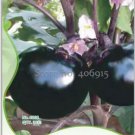 30 seeds Heirloom Black Round Eggplant Seeds