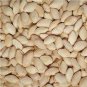 8 Seeds New Varietal China Pumpkin Seeds with Large Plant Conglutinin