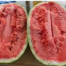 20 seeds Jubilee Red Mushy Big Sweet Watermelon