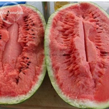 20 seeds Jubilee Red Mushy Big Sweet Watermelon